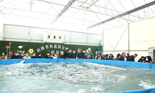 全省魚菜綜合種養技術經驗交流觀摩會在晉源區舉行