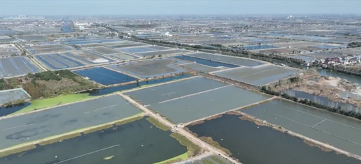 泰州興化:農技專家一線支招 “一池雙養”助力增收