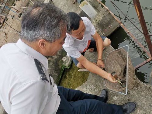 福建省廈門市海洋發展局二大隊開展水產品質量安全檢查