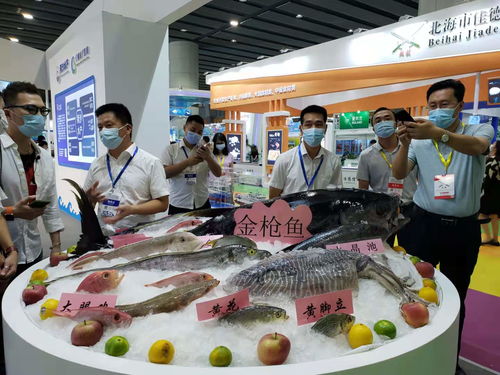 海水產(chǎn)品進(jìn)內(nèi)陸系列活動在廣州啟航