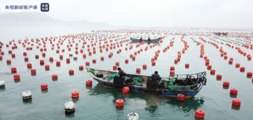逐浪而行!全國首宗海洋漁業(yè)碳匯交易完成
