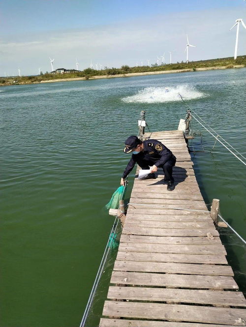 鹽城海關強化質量監管助力鰻魚出口企業搶占海外市場