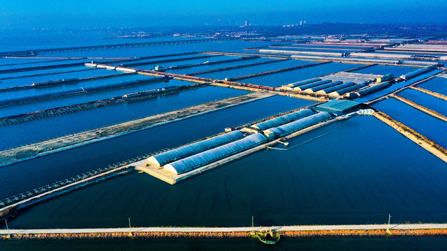 海產養殖