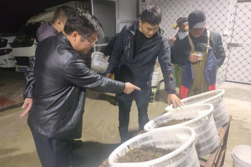我市首家水產品交易市場投入運營