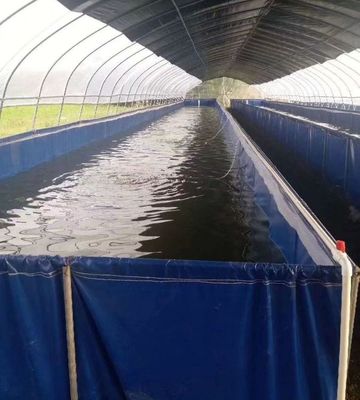 帆布鍍鋅板養殖池 結構穩定 水產魚蝦養殖帆布池