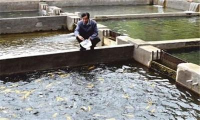 水產養殖降低飼料成本的幾個方法
