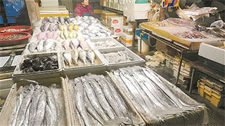 浙江省委省政府新聞門戶網站