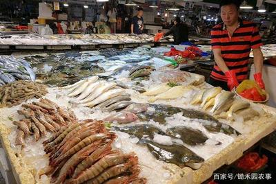 休漁期,那些在魚市上活蹦亂跳的海鮮,都是“偷捕”來的?