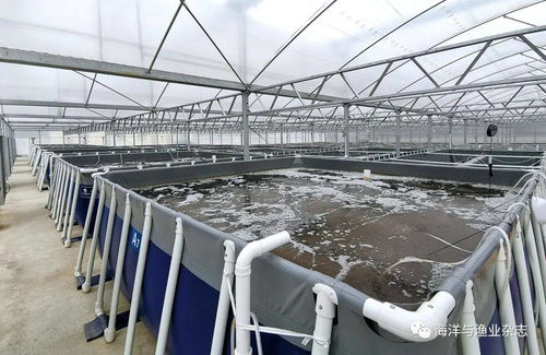 南海水產研究所研究員張家松 貢獻符合時代需求的水產養殖方案