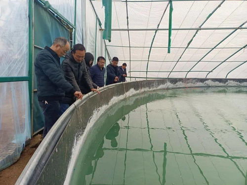 廣東 海南 福建 廣西養殖戶速速圍觀,這樣養石斑,賺5萬 畝