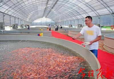 犀利!花都將創(chuàng)建國家級水產(chǎn)健康養(yǎng)殖和生態(tài)養(yǎng)殖示范區(qū)